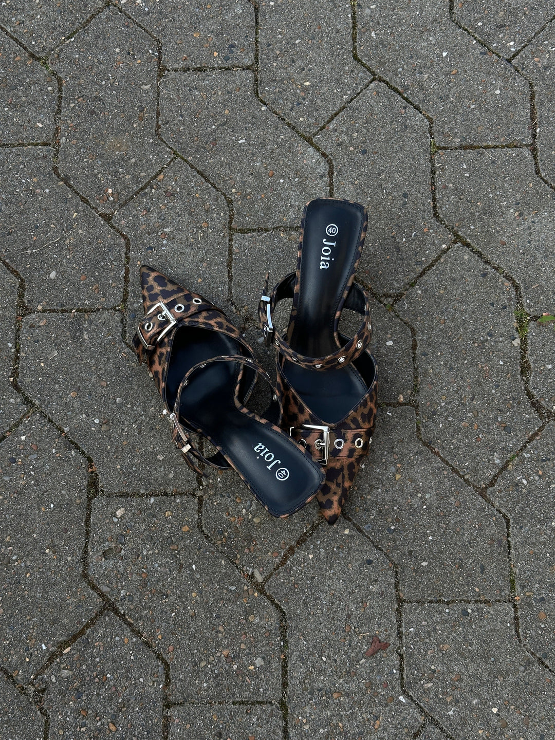 Sara Leopard Pumps