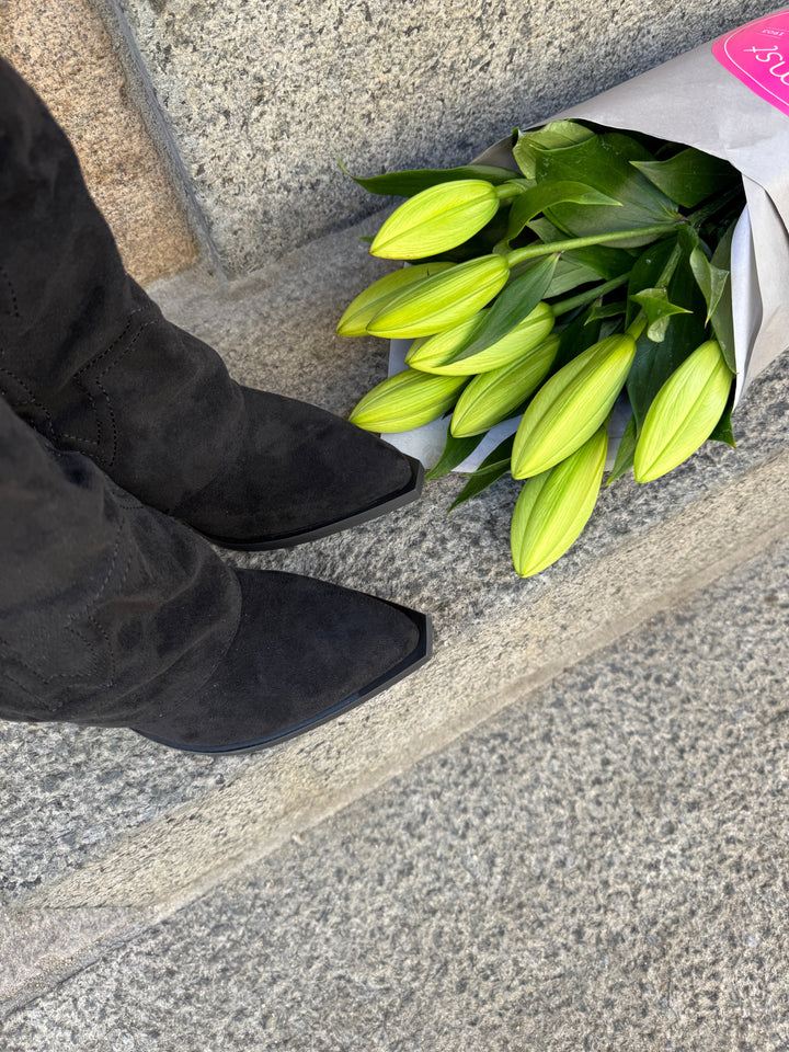 Katrine Suede Boots - Black