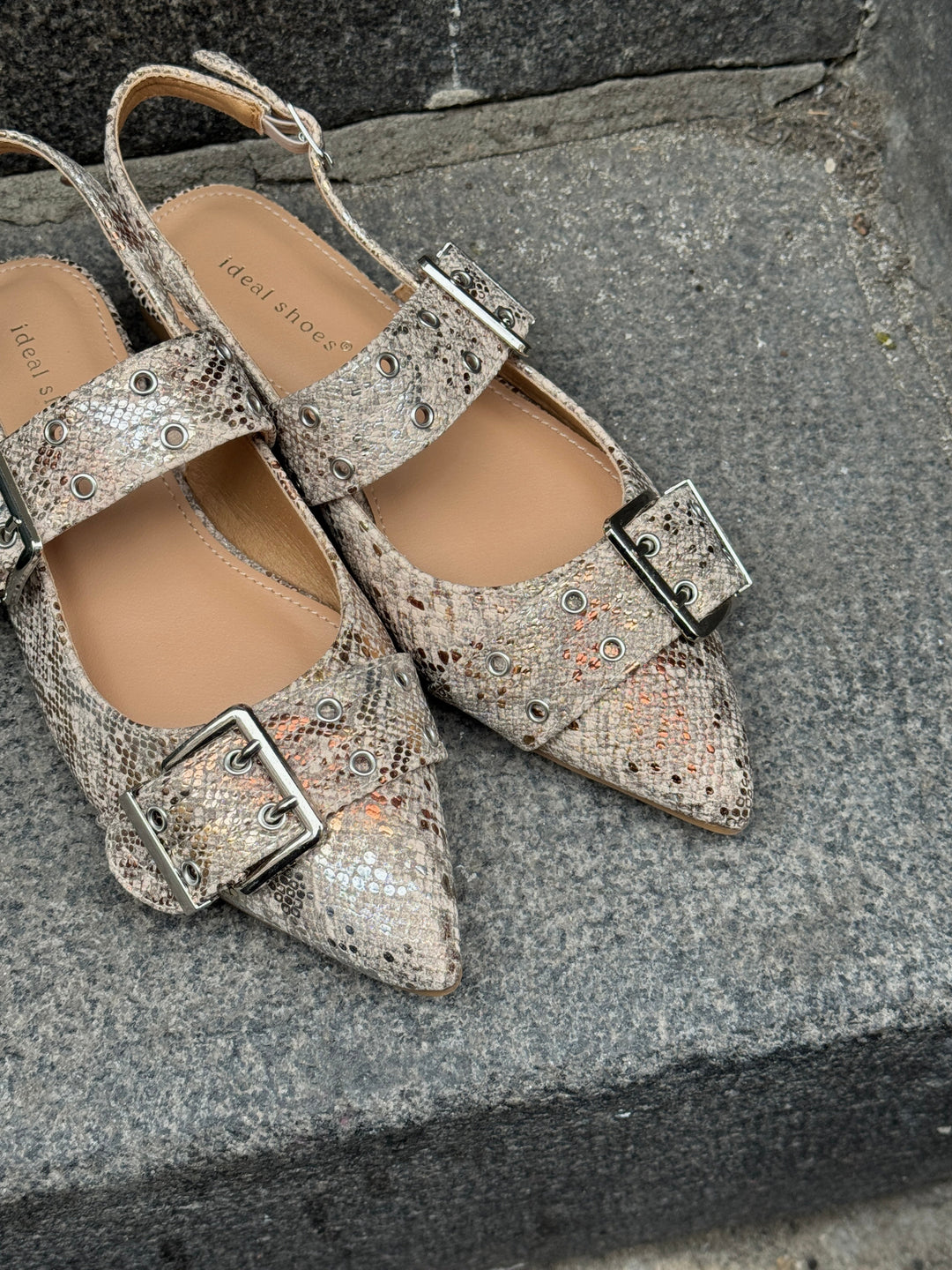 Zola Buckle Ballerina - Snake