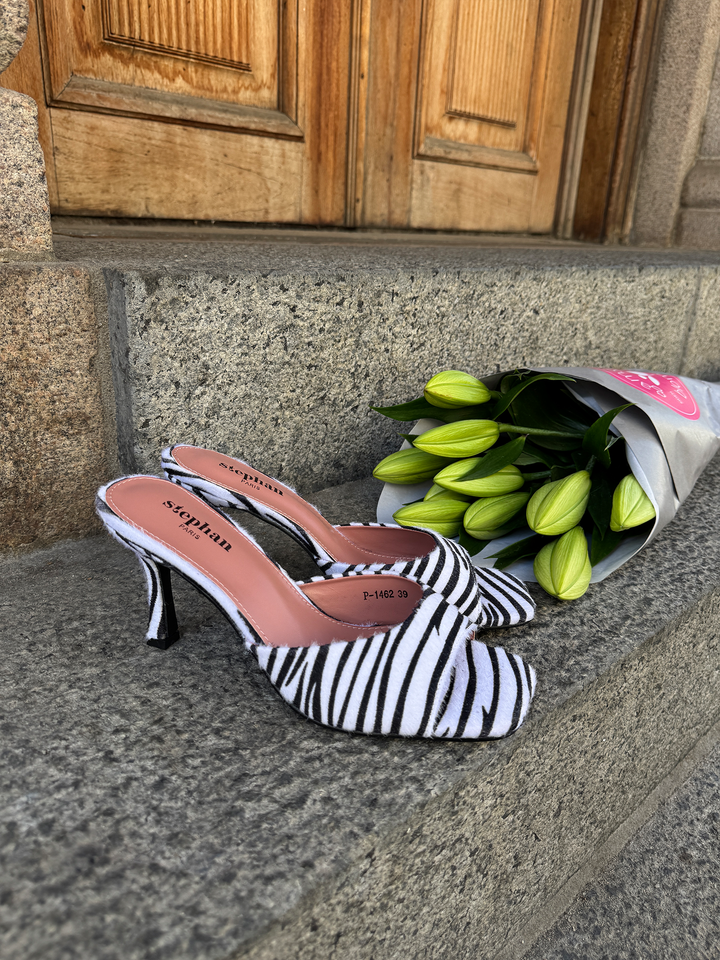 Pauline Mule - Zebra