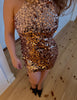 Shelly Sequins Halterneck Dress - Bronze