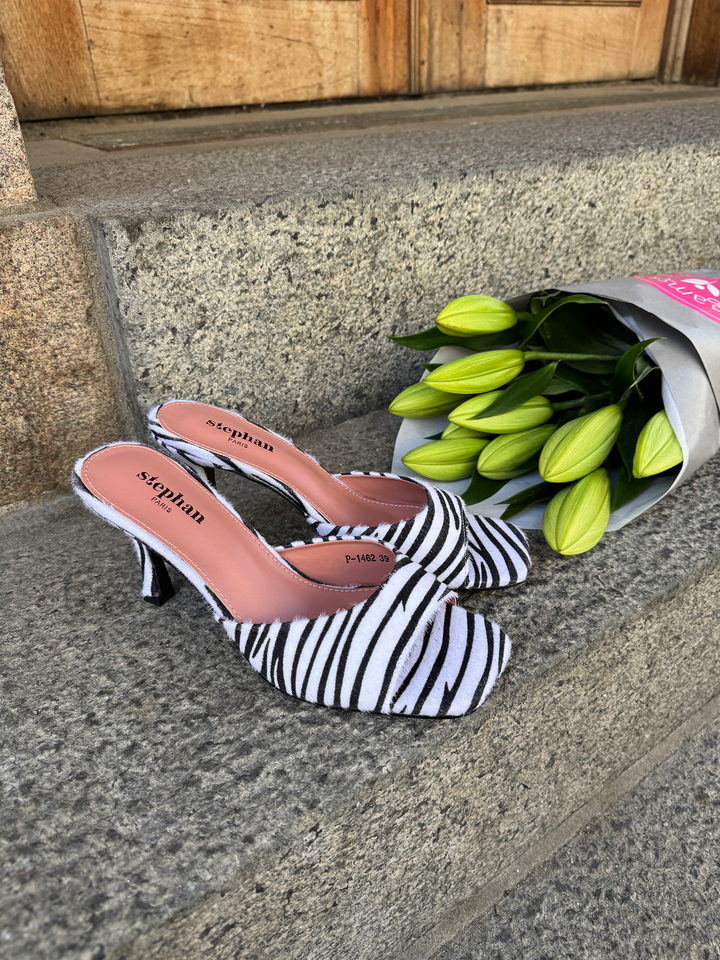 Pauline Mule - Zebra